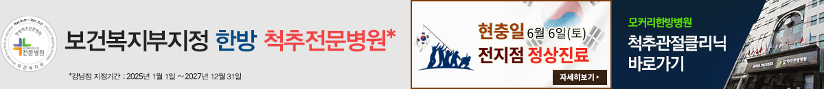 지방선거일